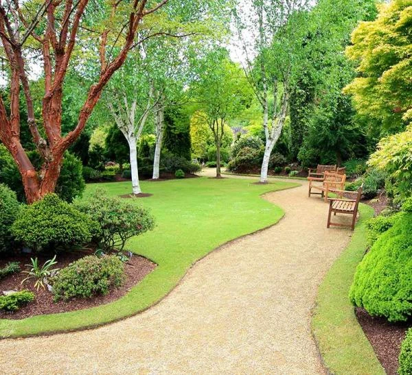 Création de jardin et plantations